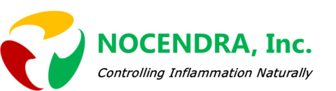 NOCENDRA, Inc. Logo